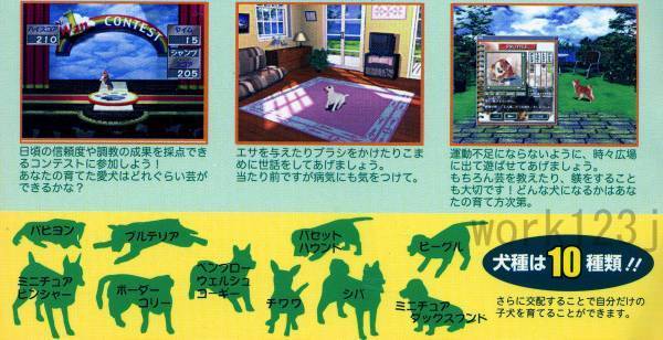 送料無料★愛犬育成シミュレーションソフト 10犬種 Dear Dog3◆_画像3