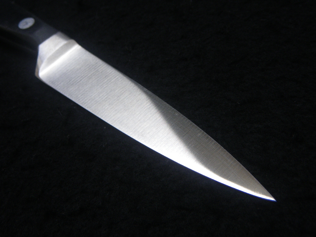 Paringknife　INOX　4066　9cm　x50 CrMo15　ペティナイフ パーリングナイフ　包丁　キャンプ　アウトドア　グランピング　外ご飯　料理_ED．WUSTHOF　DREIZACK WERK　TRIDENT