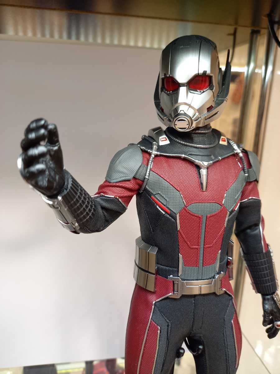 ホットトイズ 1/6 アントマン シビルウォー 開封美品 ガラスケース展示