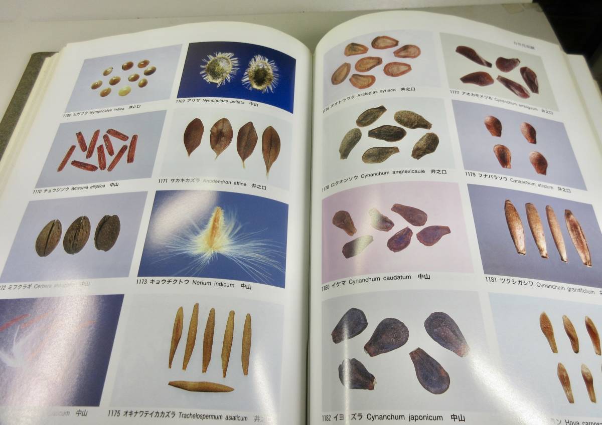 日本植物種子図鑑】☆東北大学出版会発行☆ 2000年2月初版1刷