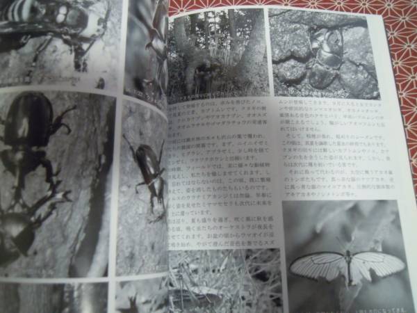 ★くわがたマガジン　No.34★クワガタムシの総合情報誌★絶版・特集・中国的飼育採集、極太長大ヘラクレス★オオクワ・外国産クワガタ_画像3