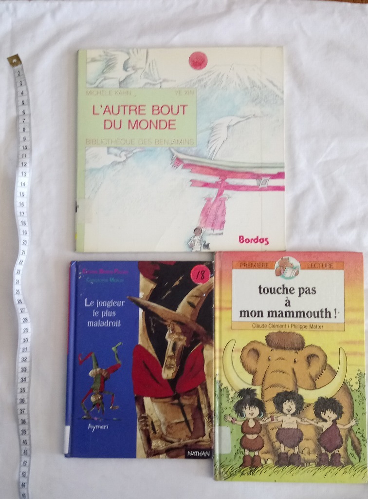 . язык ( французский язык ) книга с картинками, детская книга библиотека удаление книга@3 шт. комплект 