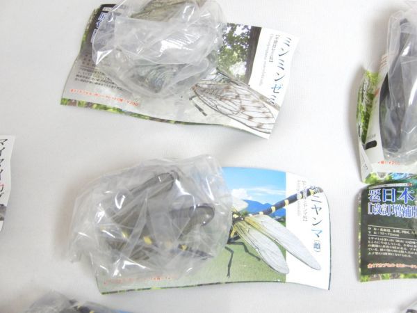 ユージン 原色日本昆虫図鑑1 改訂増補版 全17種セット シークレット