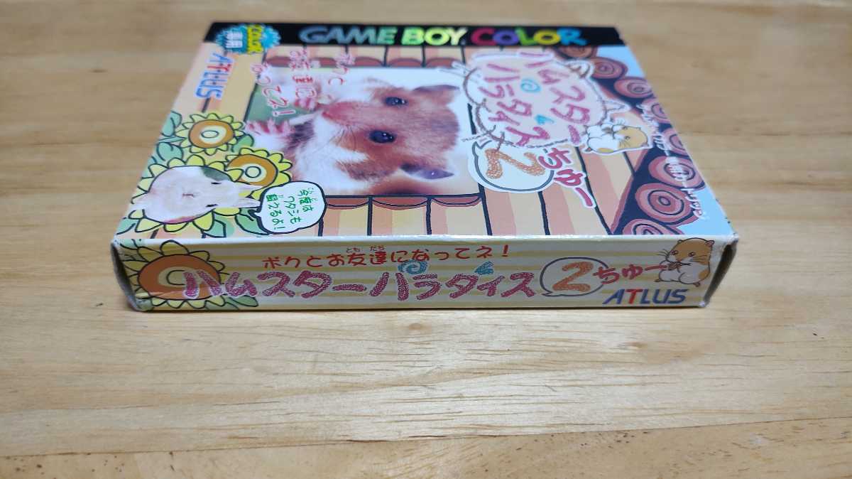 ★GBC「ハムスターパラダイス2ちゅー(HAMSTER PARADISE2)」箱・取説付き/ATLUS/GAMEBOY COLOR/シミュレーション/SLG/レトロゲーム★の画像5