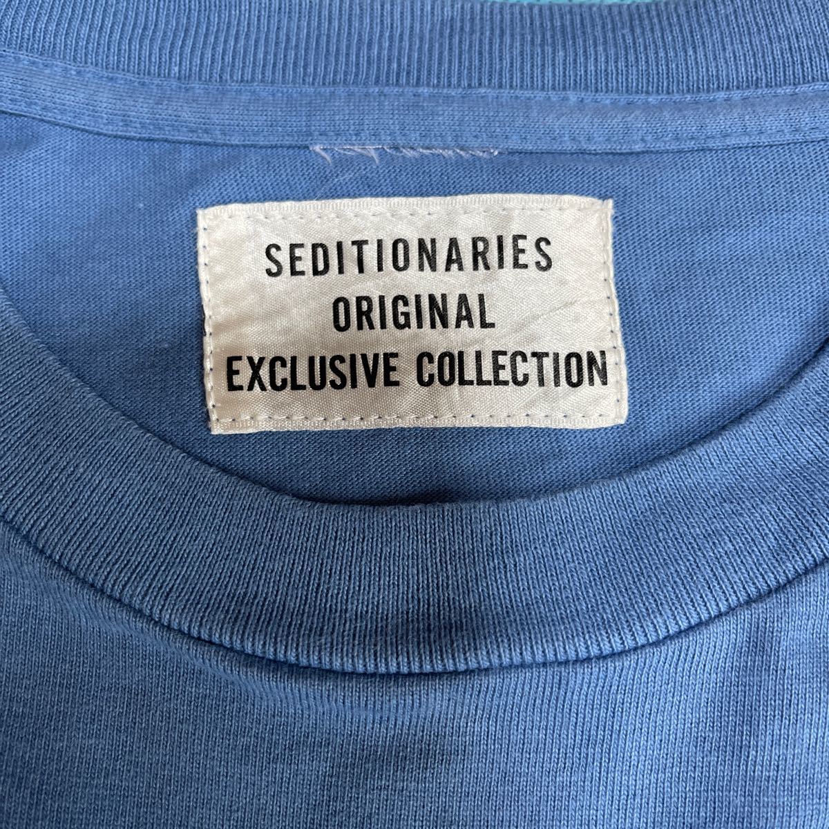Tシャツ CASH FROM CHAOS SEDITIONARIES セディショナリーズ アストアロボット製
