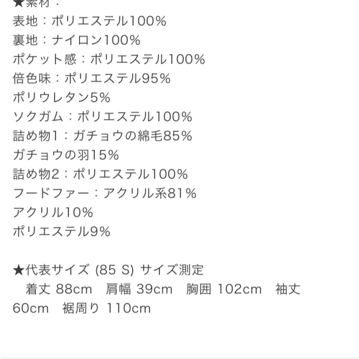 ファッションデザイナー 最終値下げ ダウンジャケット ノースフェイス