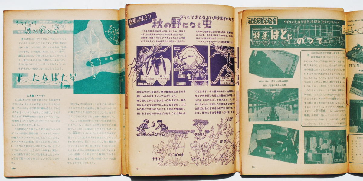 学習雑誌】少年科学 NO.1~7 開顕社 昭和25~26年【7冊】 学習雑誌】少年科学 NO.1~7 開顕社 昭和25~26年【7冊】