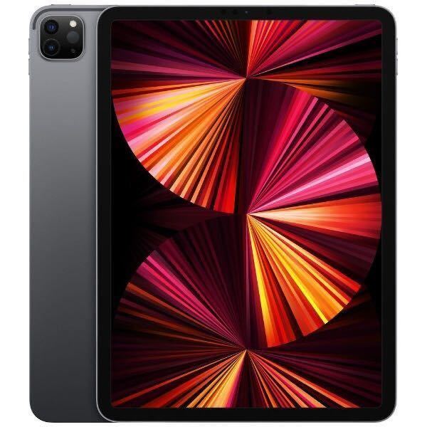 M1 iPad Pro 11インチ / 第3世代 / 128GB / Wi-Fi+Cellular / スペース