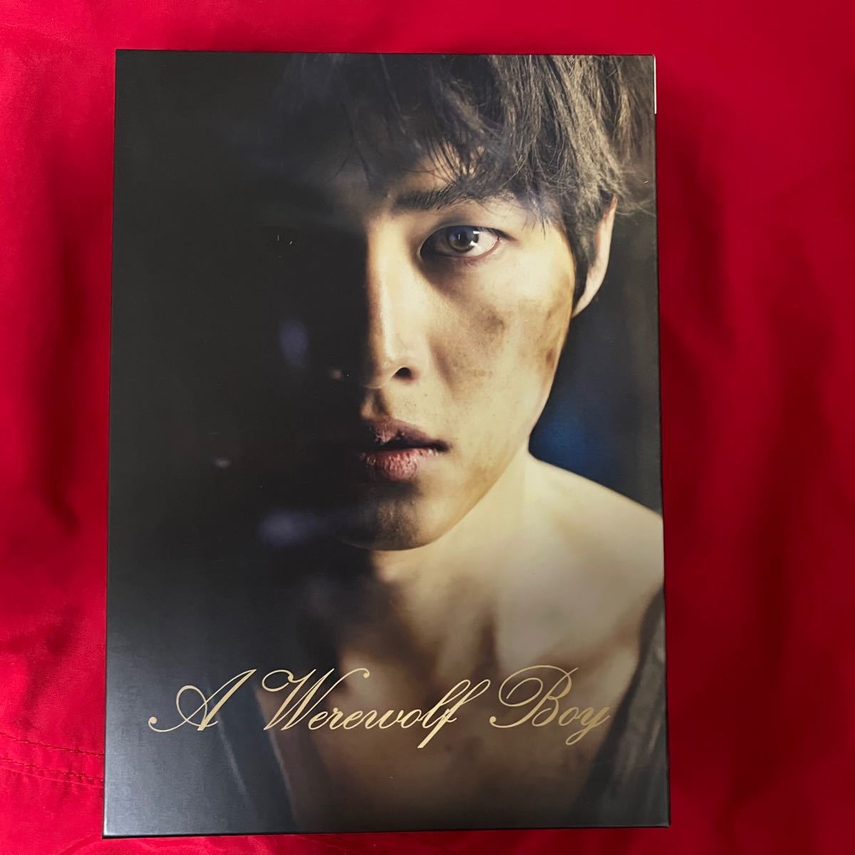 最大81%OFFクーポン ソンジュンギBlu-ray 私のオオカミ少年 confmax.com.br