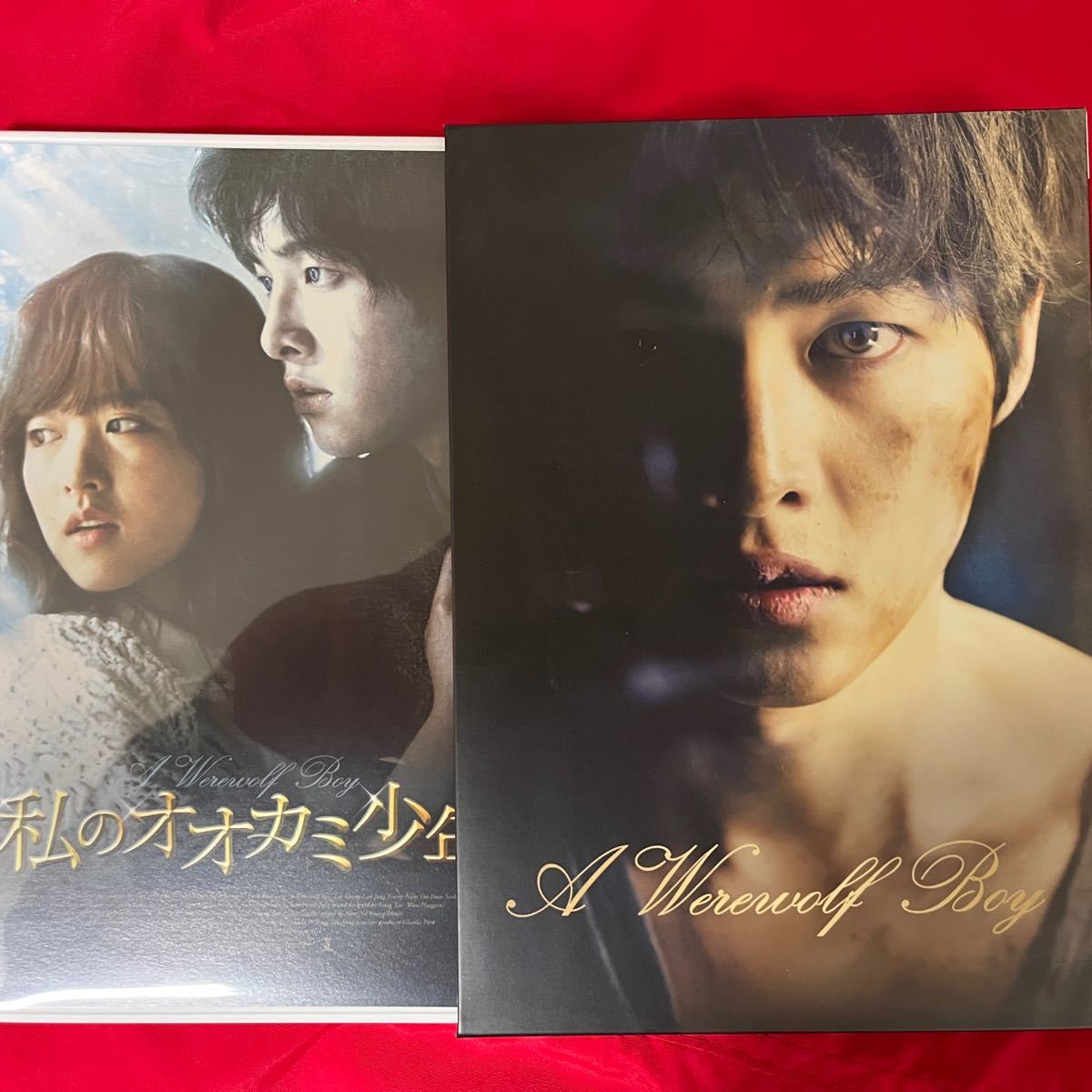 入手困難廃盤品 初回生産特典付 私のオオカミ少年 Blu-ray 韓流 韓国