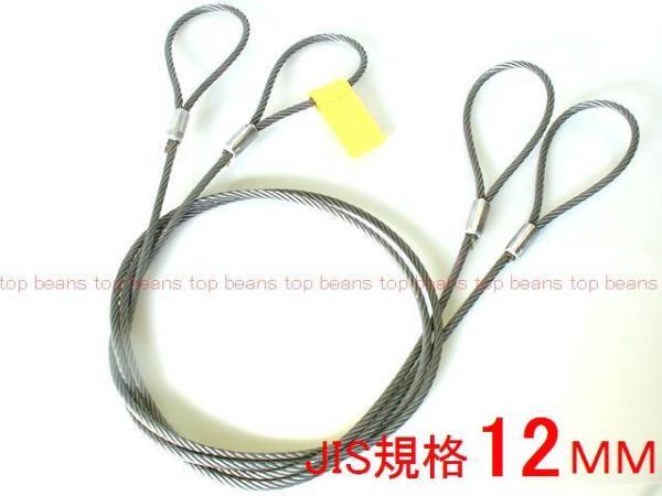JIS 玉掛策【12mm×2.5m】10本set 国内加工4分 台付にも””3万円以上送料無料””新品(ロック・鉛止め・ワイヤロープ・スリング) JIS 玉掛策【12mm×2.5m】10本set 国内加工4分 台付にも””3万円以上送料無料””新品(ロック・鉛止め・ワイヤロープ・スリング)