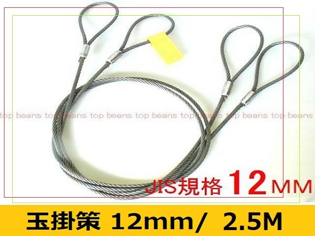 JIS 玉掛策【12mm×2.5m】10本set 国内加工4分 台付にも””3万円以上送料無料””新品(ロック・鉛止め・ワイヤロープ・スリング) JIS 玉掛策【12mm×2.5m】10本set 国内加工4分 台付にも””3万円以上送料無料””新品(ロック・鉛止め・ワイヤロープ・スリング)