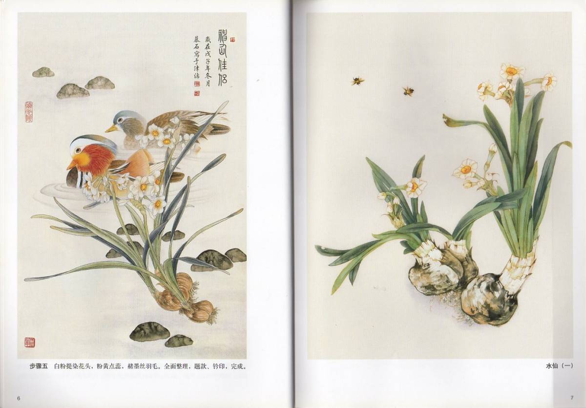 9787807384380 水仙　百合　玉簪　鳶尾　中国工筆画　中国画技法書　中国語版_画像4