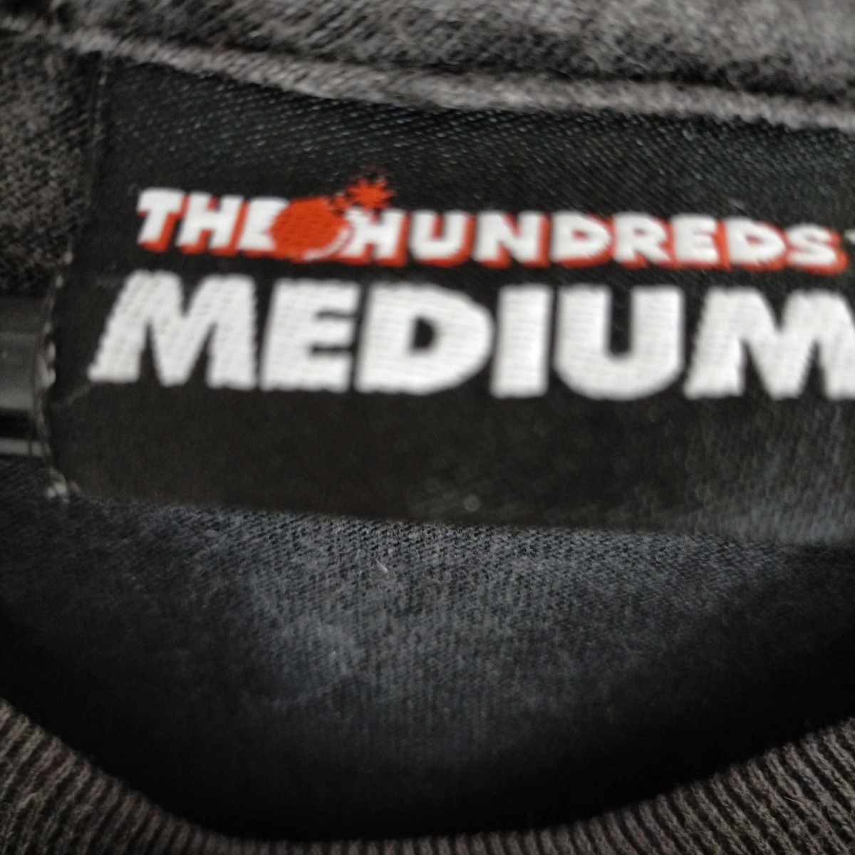 激レア 希少 THE HUNDREDS ビンテージ Tシャツ M アメリカ USA 古着