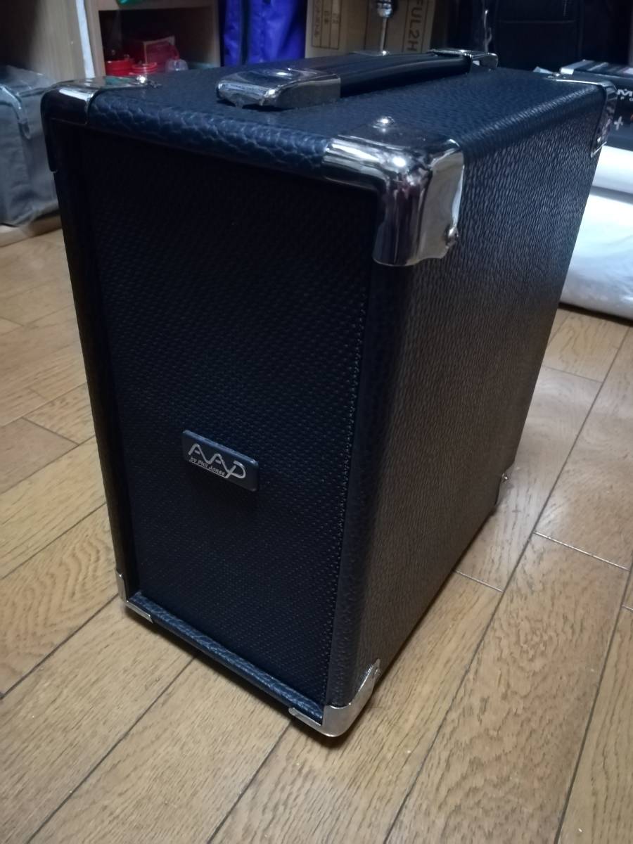 送料無料】 AAD by Phil Jones CUB AG-100 品 アコースティックギター
