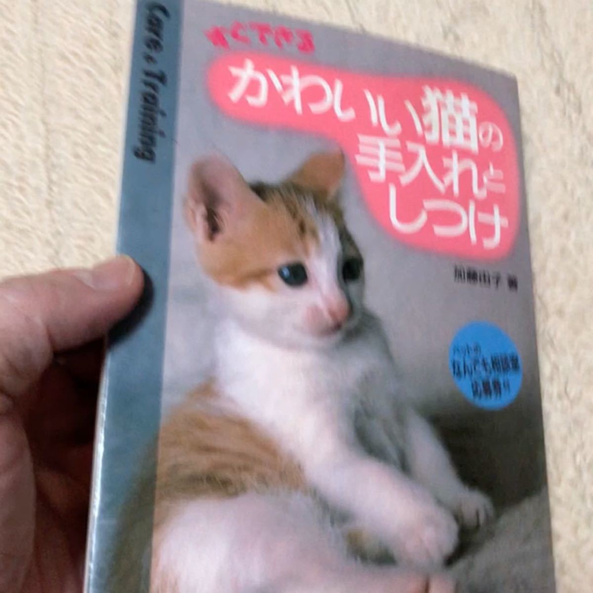すぐできる　かわいい猫の手入れとしつけ　加藤由子　著　定価950円　高橋書店