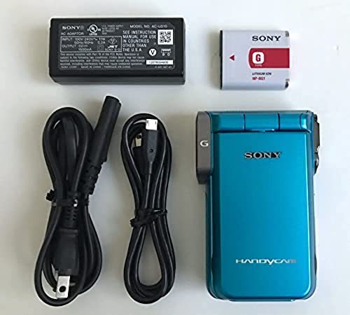 最安値 【59%OFF!】 ソニー SONY デジタルHDビデオカメラレコーダー ブルー L HDR-GW77V 春の新作