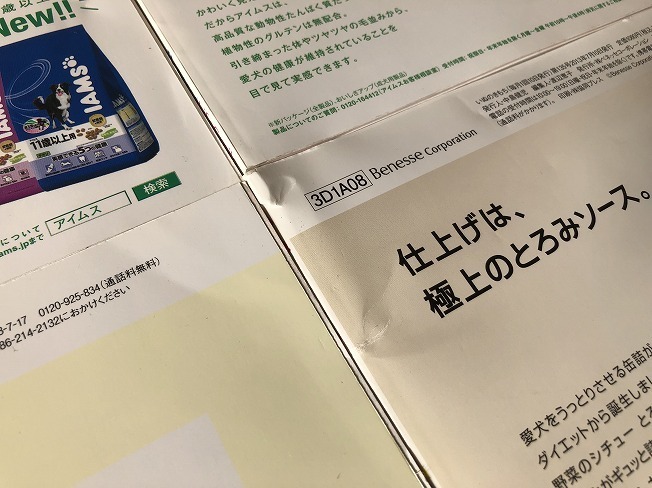 Benesse　いぬのきもち　vol.128　2013年1月号 ～ vol.135　2013年8月号　8冊　本誌のみですが、まとめていかがですか？_画像7