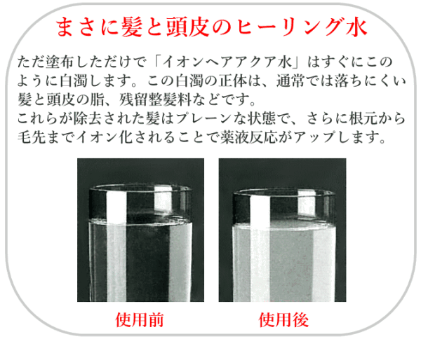 イオン ヘア アクア 1000ml 2分間の頭皮クレンジング フケかゆみ 髪のボリュームアップに 余分な皮脂と汚れ残留スタイリング剤落としに