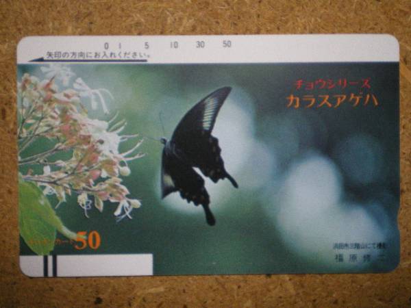 doub・330-269　蝶　チョウ　カラスアゲハ　テレカ_画像1