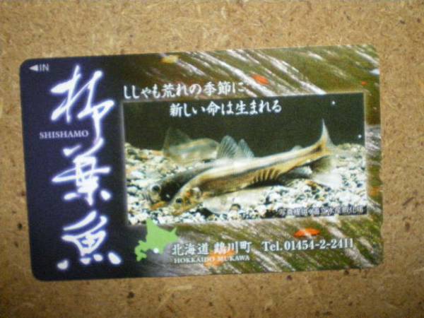 doub・魚　柳葉魚　シシャモ　北海道　鵡川町　テレカ_画像1