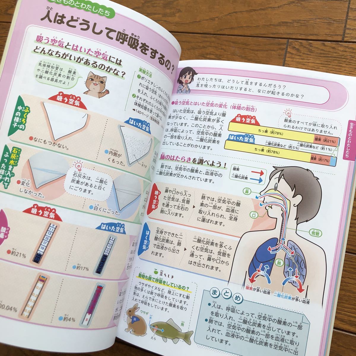 Paypayフリマ やさしくわかる小学生の理科図鑑なぜ なに どうなる イラストや写真でわかる Paypayフリマ やさしくわかる小学生の理科図鑑なぜ なに どうなる イラストや写真でわかる