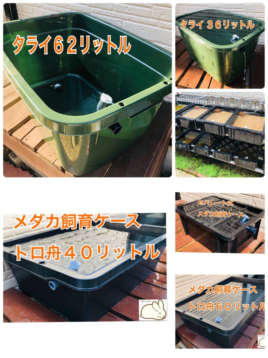 絶妙なデザイン メダカ飼育ケース3個 トロ舟40L オーバーフロー加工済