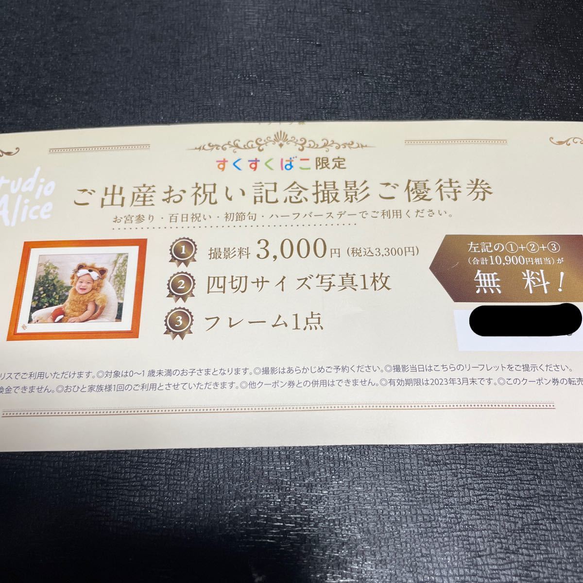 格安人気 一歳半 スタジオアリス 撮影無料券 1歳6ヶ月 撮影ご優待券