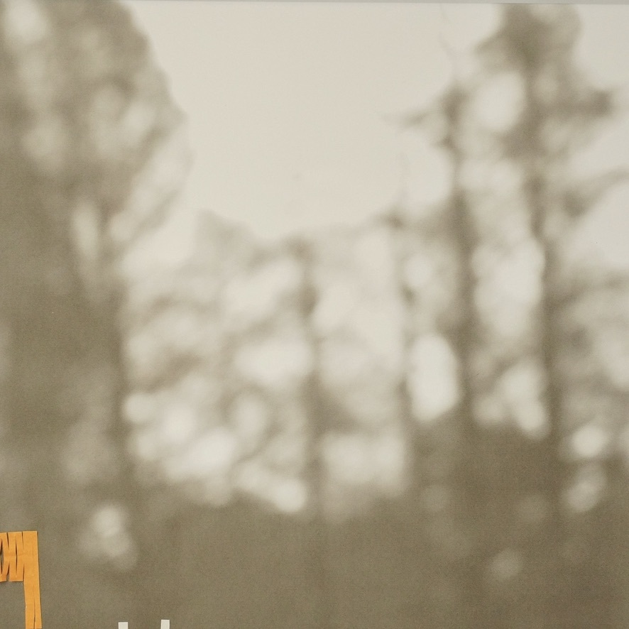 ビンテージ　フォトアート　 額装品　幅63㎝　高さ47.5㎝ 霞んだ森の風景、俯く女性、動物の折り紙を 組み合わせた独創的な逸品！ MNK_画像7