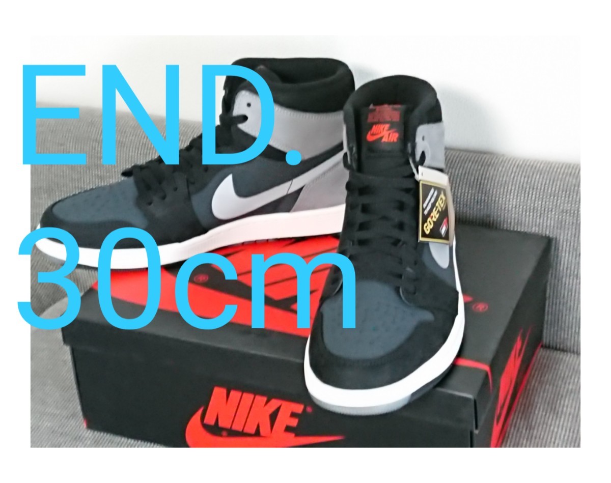 NIKE AIR JORDAN 1 HIGH GORE-TEX 30cm us12 END. 