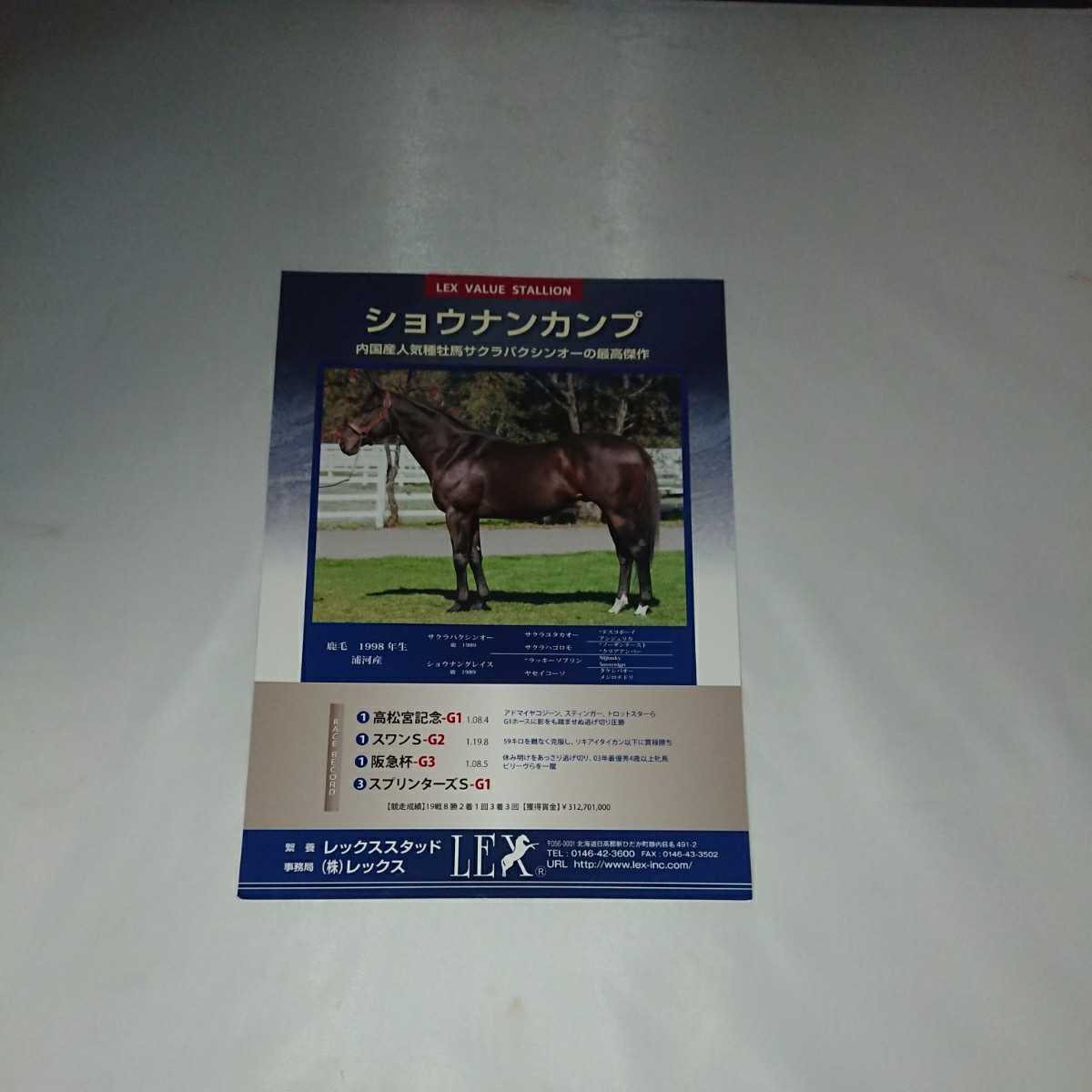 ショウナンカンプ 種牡馬パンフレット レックススタッド