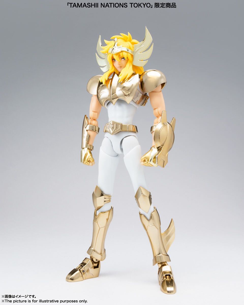 新品未開封】聖闘士聖衣神話EX キグナス氷河(新生青銅聖衣) ~GOLDEN