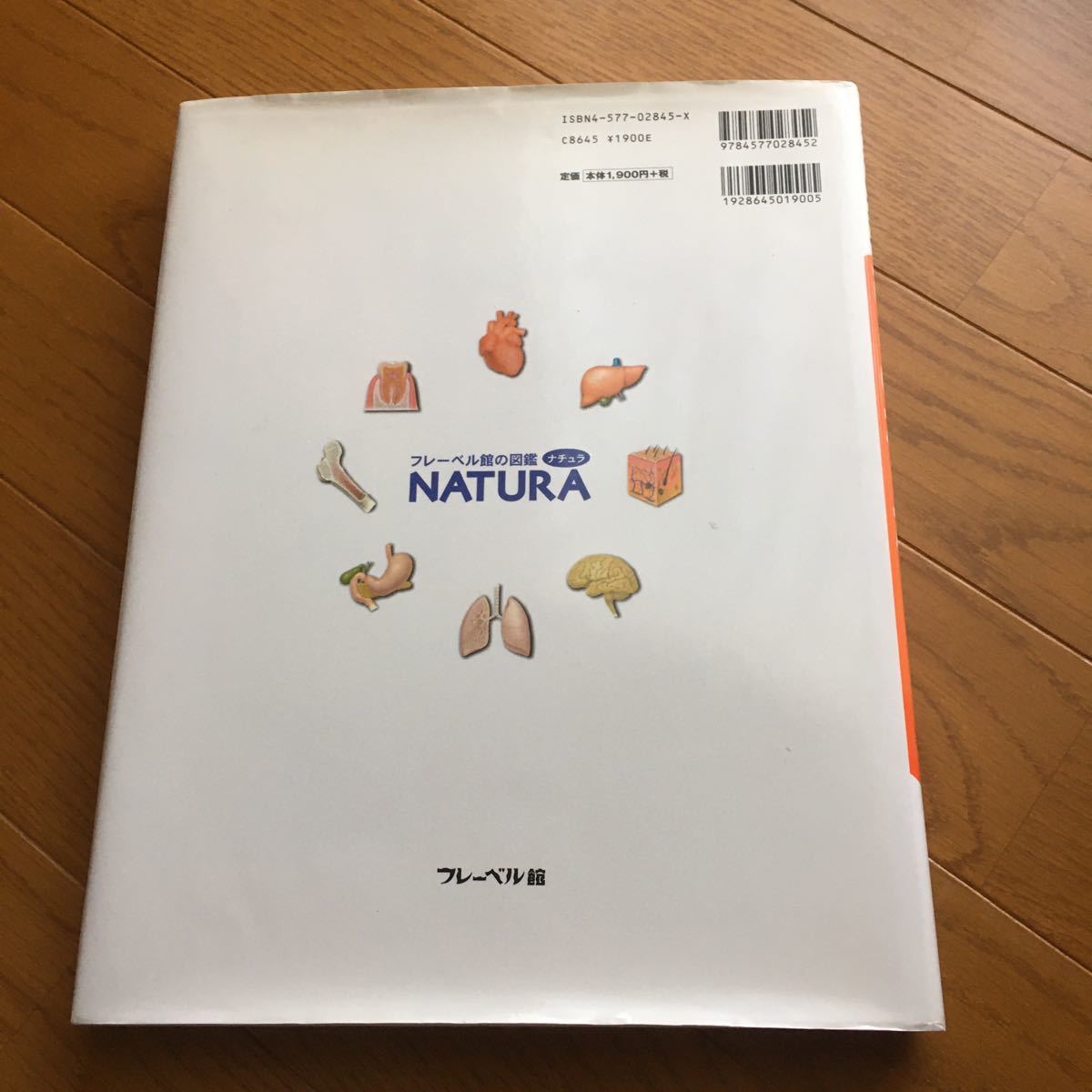 オンライン卸売 フレーベル館図鑑ナチュラ 10冊プラス4冊 本・音楽