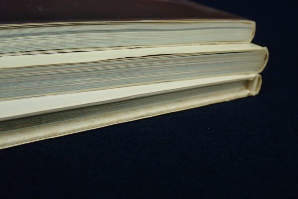 ▽書籍278 河合奈保子 写真集 4冊まとめて▽奈保子/さま~ひろいん/ ▽書籍278 河合奈保子 写真集 4冊まとめて▽奈保子/さま~ひろいん/
