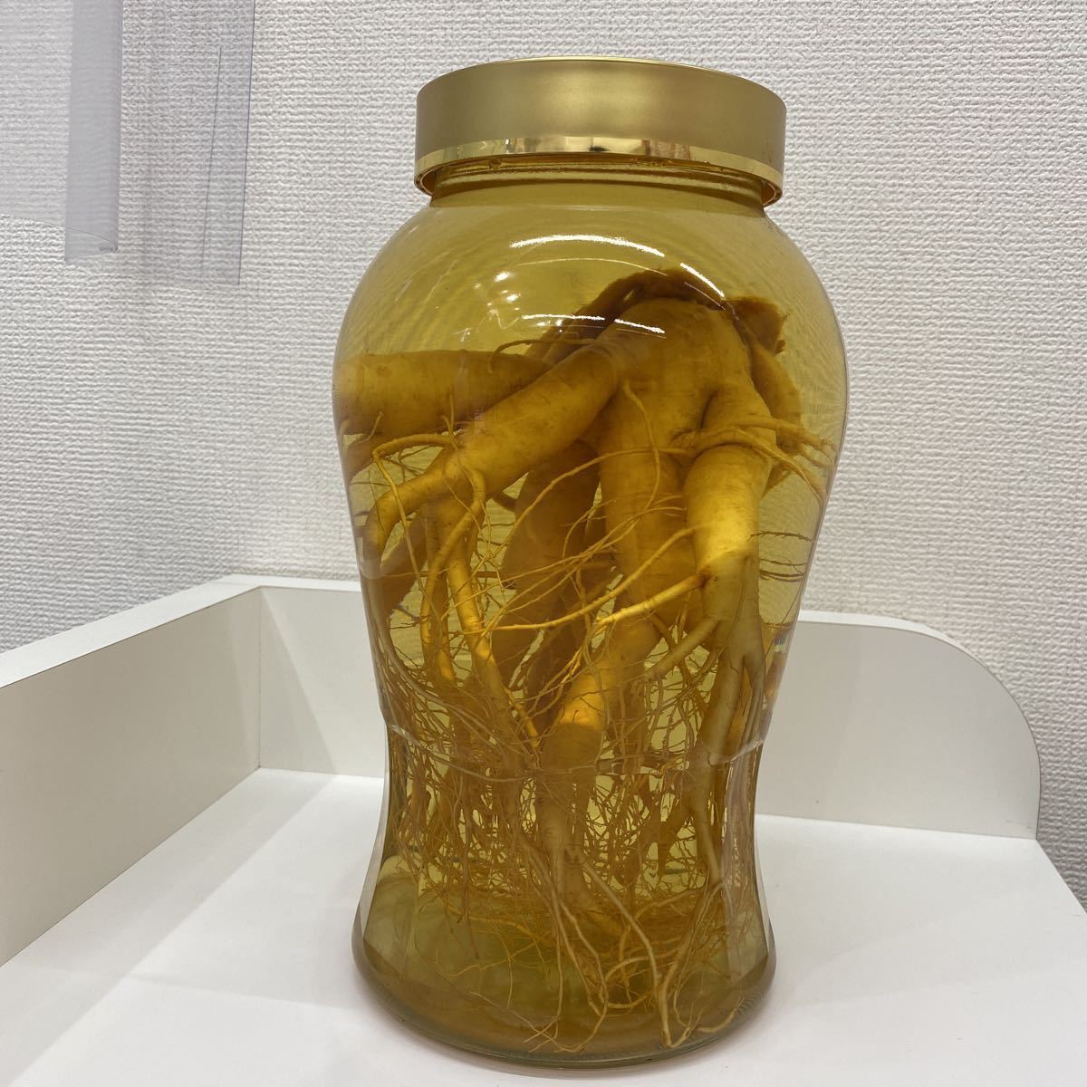 一円スタート】朝鮮人参 高麗人参酒 健康酒 古酒 オブジェ 4.5L 一円スタート】朝鮮人参 高麗人参酒 健康酒 古酒 オブジェ 4.5L