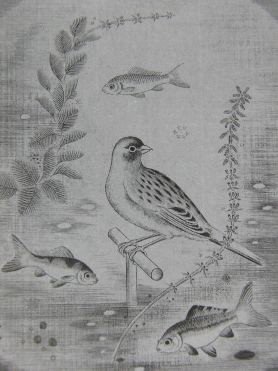  Hasegawa .,[ fishbowl. middle. small bird ], rare book of paintings in print .., new goods high class amount, mat frame attaching, free shipping, day person himself painter,. Takumi 