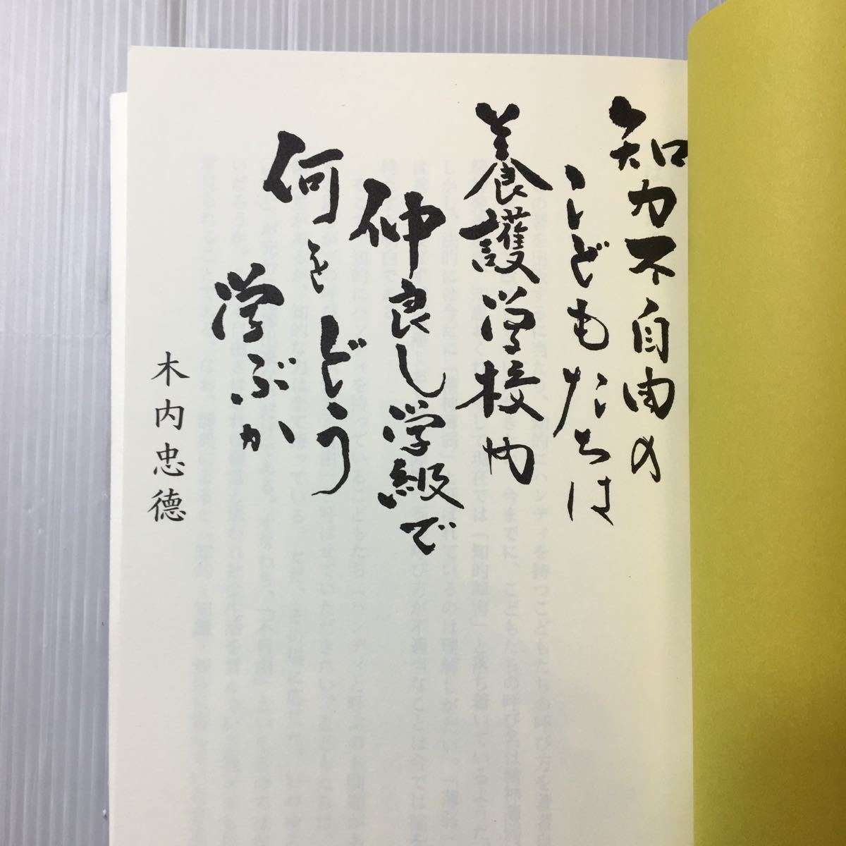 zaa-316♪知力不自由のこどもたちは養護学校や仲良し学級で何をどう学ぶか　木内忠徳 (著)　1999/8/1