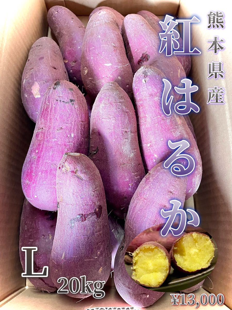 熊本県産『紅はるか』焼き芋(大)サイズ 約20キロ 再値下げしました