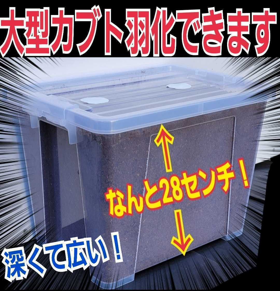 深くてデカイケース付き☆外産カブトムシ専用☆特選プレミアム発酵マット20入り☆便利！幼虫を入れるだけ！180ミリのヘラクレス実績あり！_画像7