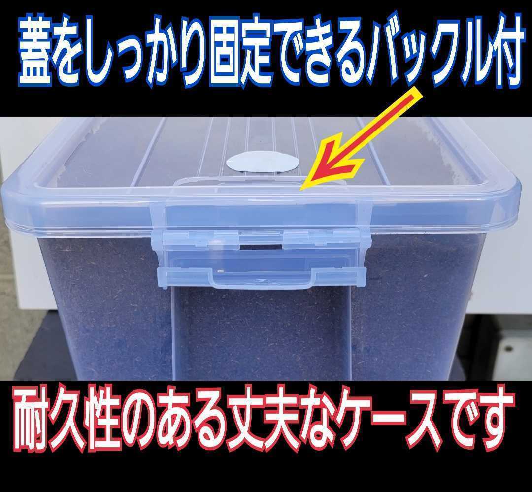 カブトムシ幼虫を入れるだけ！便利！プレミアム発酵マット入り大型飼育ケース☆深く大きいので大型成虫羽化できます！特殊フィルター付き！_画像8