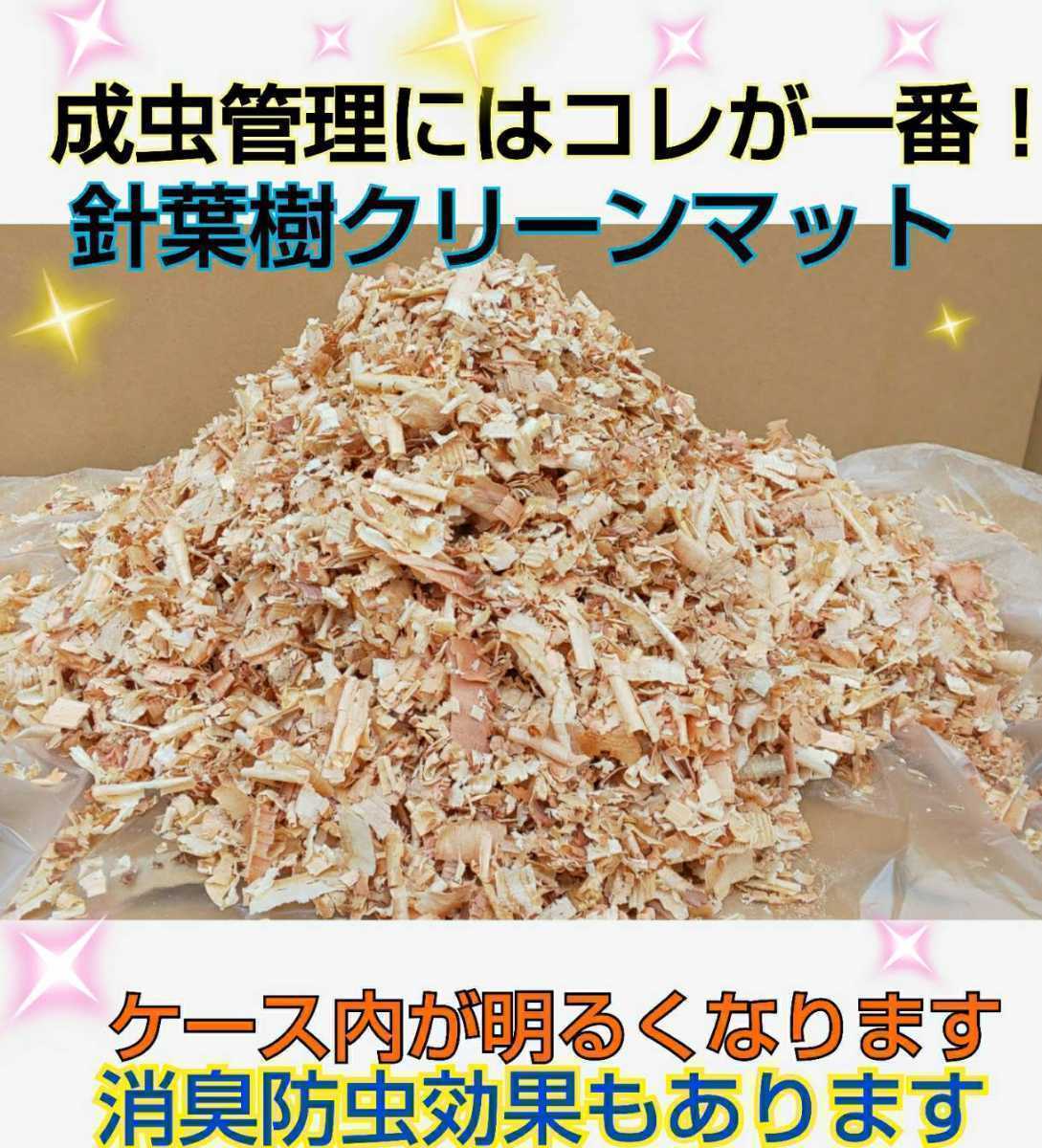 クワガタ、カブトの成虫管理はコレが一番です！針葉樹クリーンマット☆爽やかな香りでケース内が明るくなり生体が目立つ！防ダニ消臭効果も_画像5