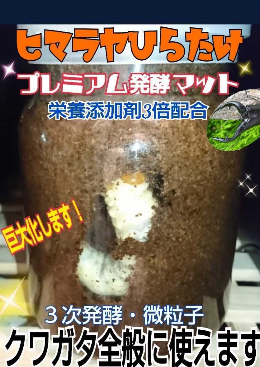  larva . inserting only! pudding cup entering * evolved! premium 3 next departure . stag beetle mat * break up .. direct after small amount .. the first .,2.. individual breeding . convenience. 