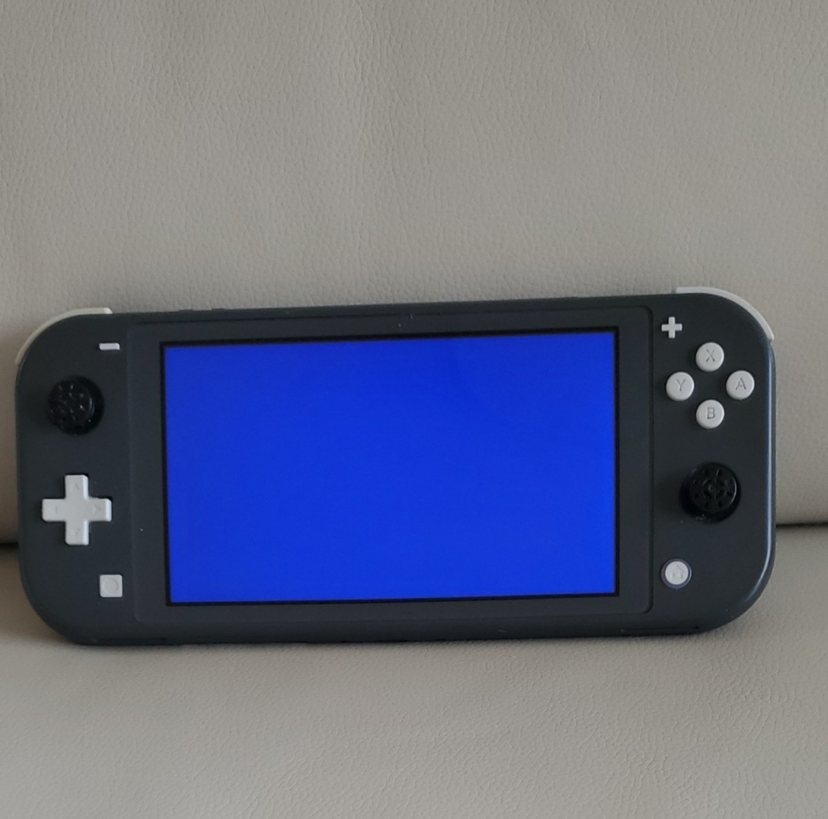 PayPayフリマ｜ニンテンドースイッチライト Nintendo Switch Lite グレー ジャンク