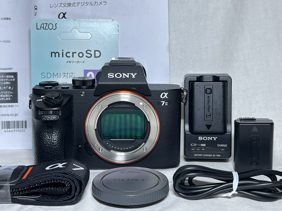 特価ブランド ILCE-7M2 α7II SONY ソニー ◇ショット数約4000枚◇SONY ミラーレス 即決送料無料 6カ月動作保証 32GBメモリ 予備バッテリー 一眼レフ - ソニー - coca.lu 特価ブランド ILCE-7M2 α7II SONY ソニー ◇ショット数約4000枚◇SONY ミラーレス 即決送料無料 6カ月動作保証 32GBメモリ 予備バッテリー 一眼レフ - ソニー - coca.lu