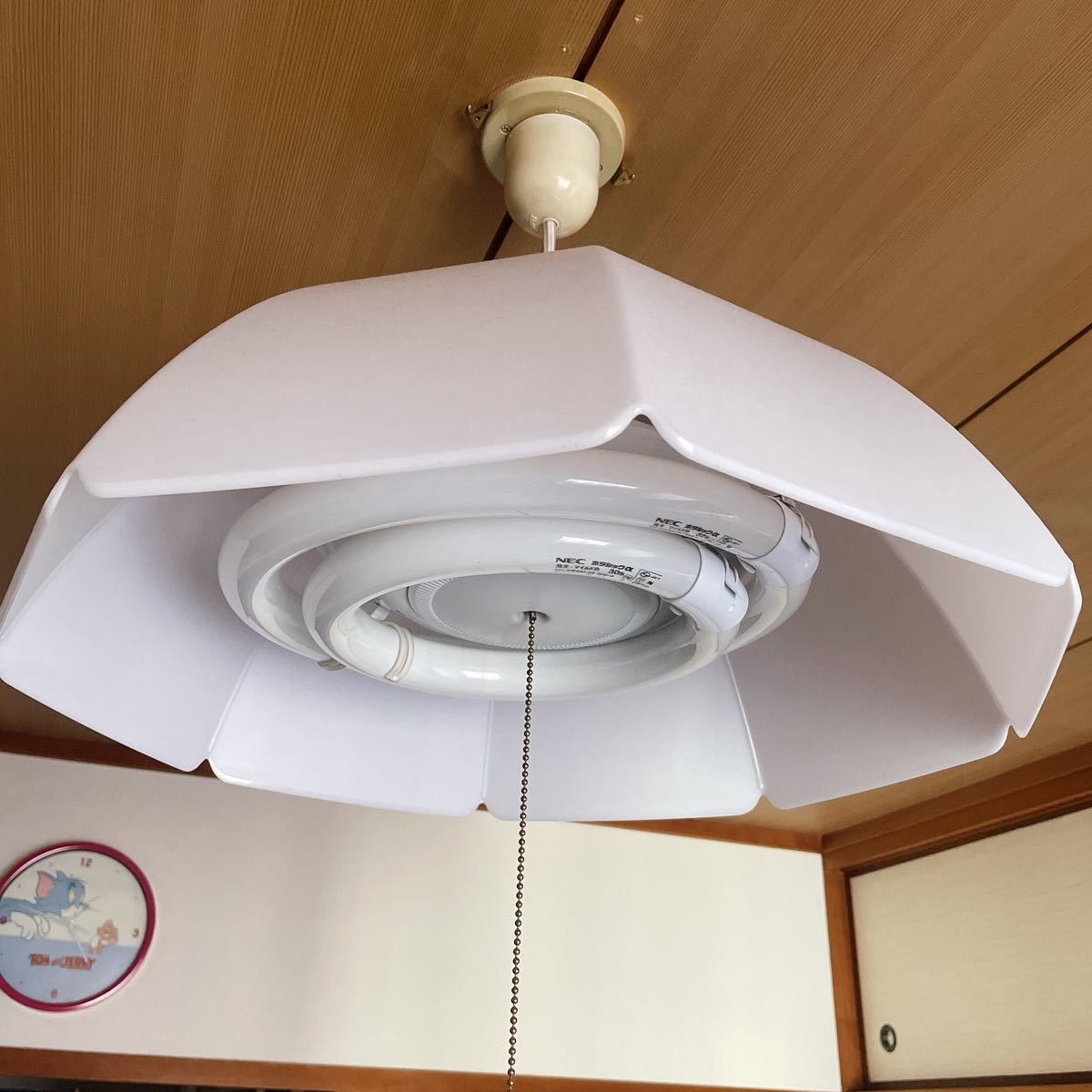 どうぞ 家電用照明器具 になり - www.youthbusiness.bb