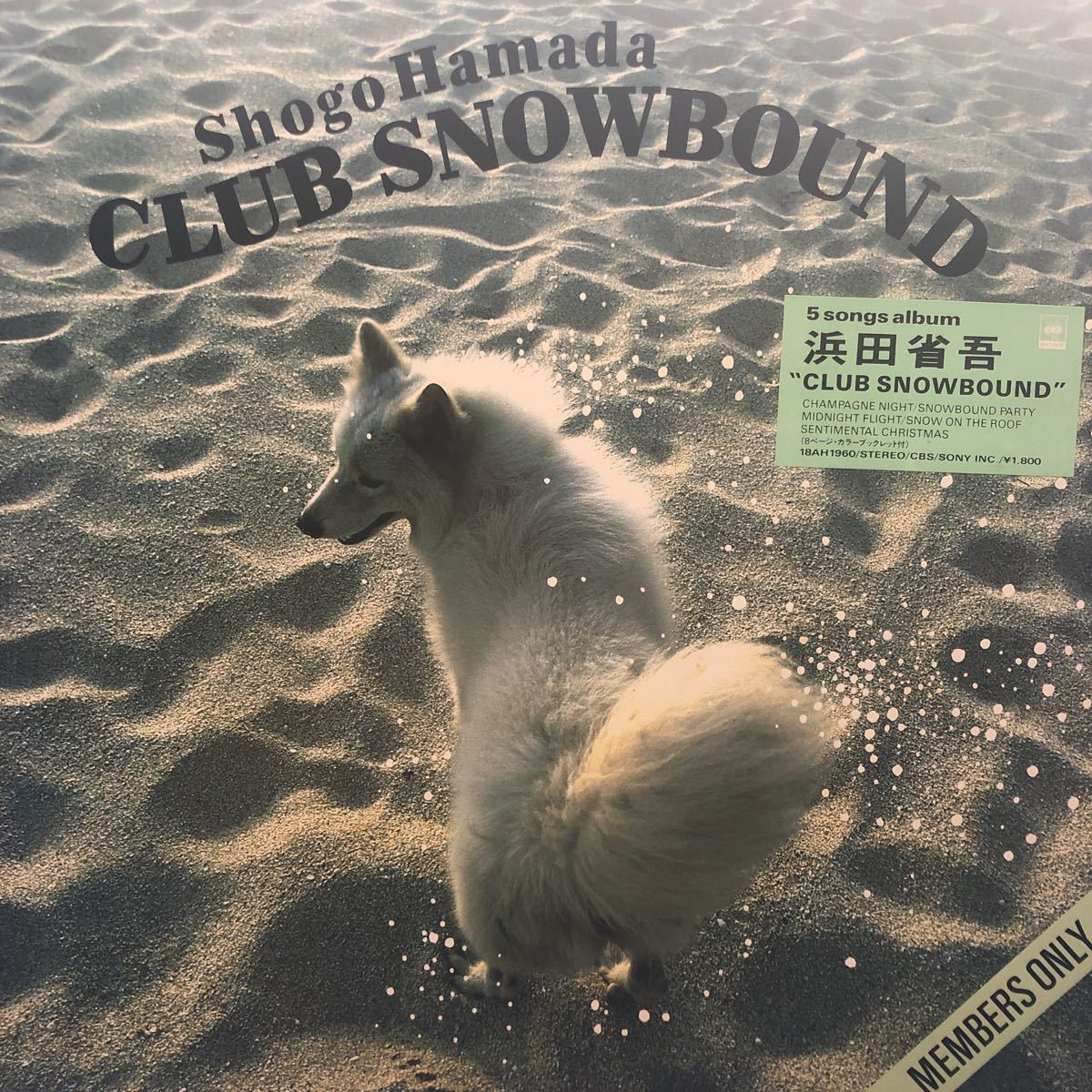 浜田省吾 Club Snow Band LP レコード 5点以上落札で送料無料M_画像1