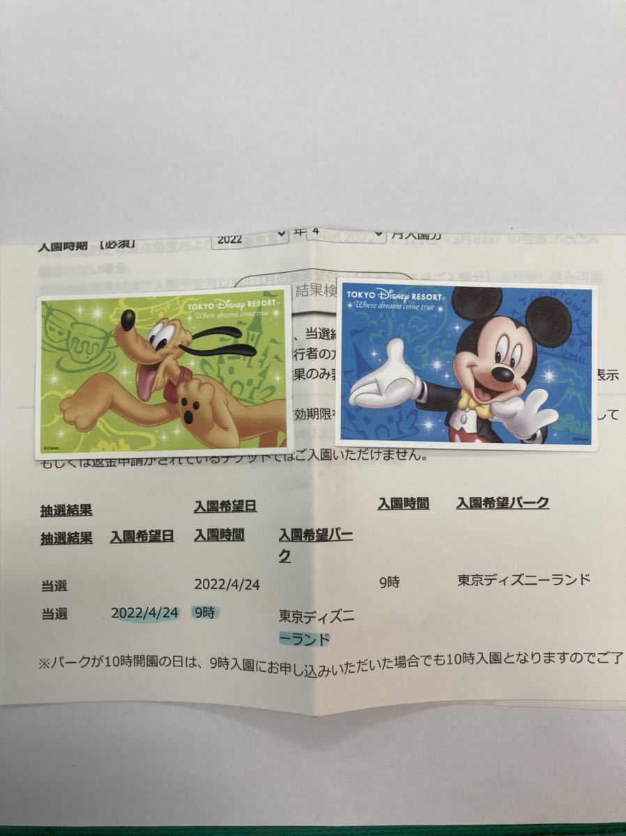 日本製 送料無料 東京ディズニーランド 4月24日 日 ペアチケット 9時入園