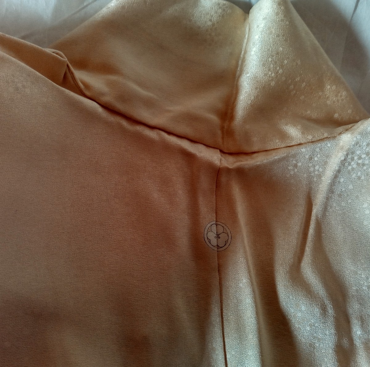 色留袖 / 一つ紋　正絹袷 / 裾模様 / 正絹