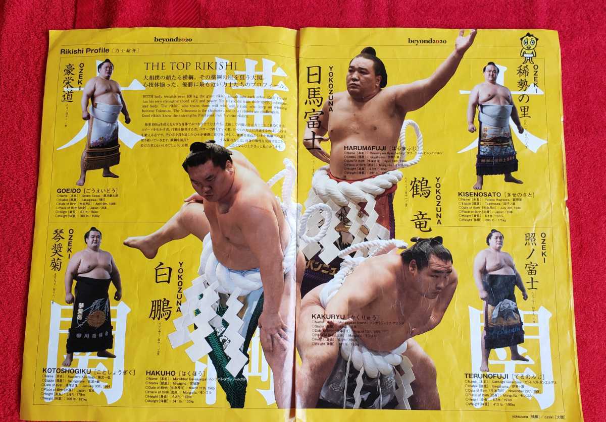 激レア非売品 大相撲 ビヨンド場所プログラム 白鵬 日馬富士 鶴竜 稀勢の里 豪栄道 照ノ富士 正代 御嶽海 大栄翔 逸ノ城 遠藤