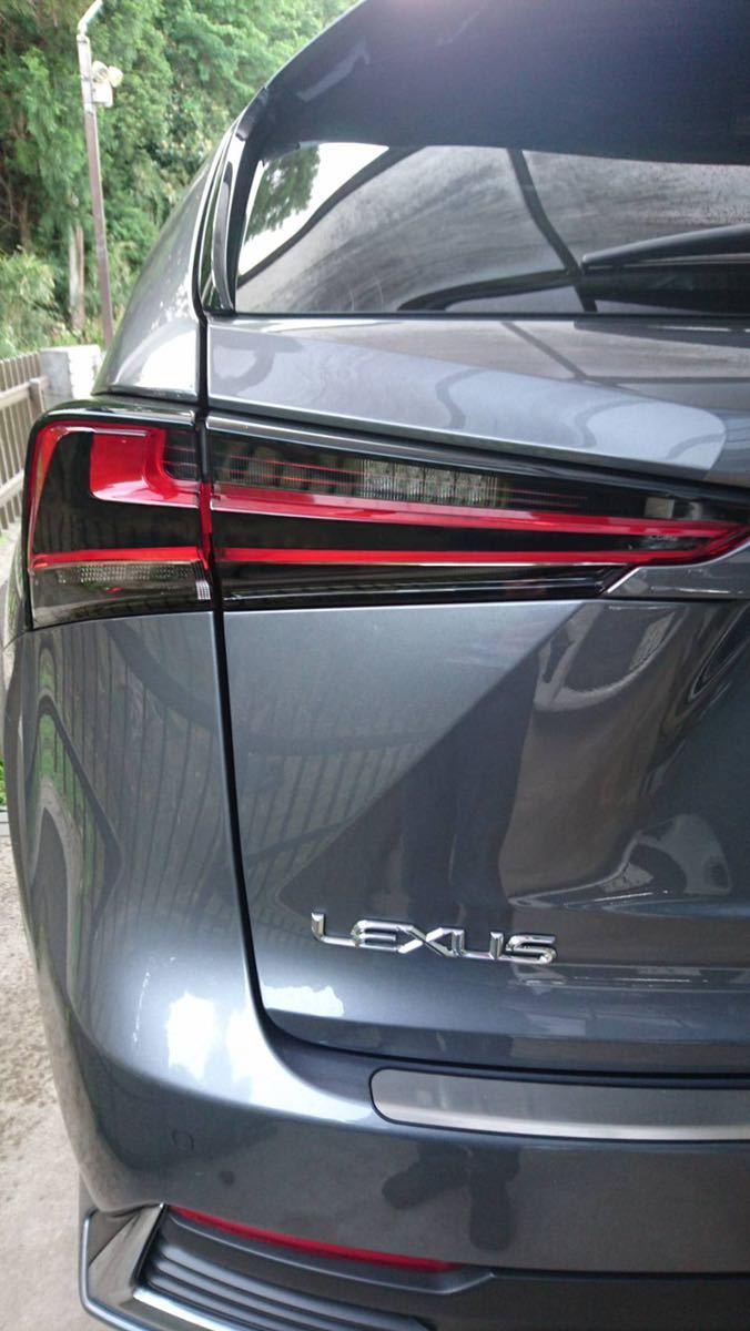  бесплатная доставка есть перевод экономичный 2 комплект более поздний вариант задние фонари черный разрезные наклейки Lexus NX Lexus